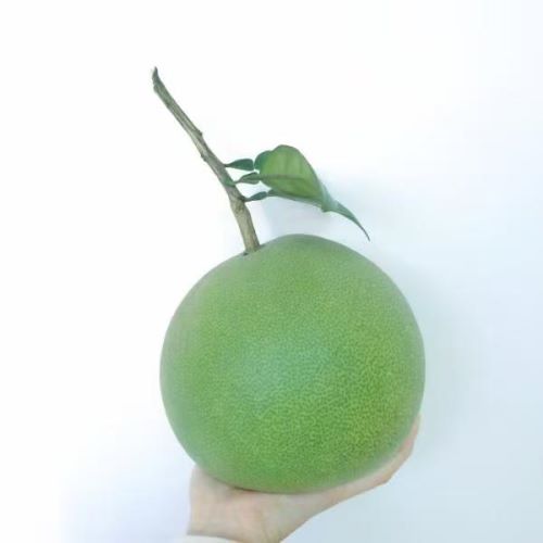 99.jpg