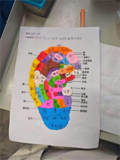 图片6(1)(1).png