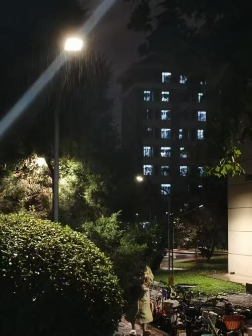 555.jpg